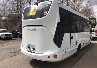 Foxbus (30+1 Гид)